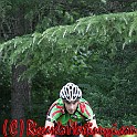 IMG_0185_18