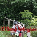 IMG_0219_44