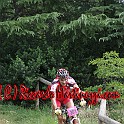 IMG_0239_61
