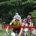 IMG_0274_82