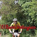 IMG_0395_151