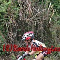 IMG_0537_221