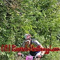 IMG_0562_231