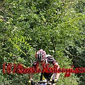 IMG_0587_239