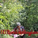 IMG_0790_294