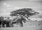 Kenya2011